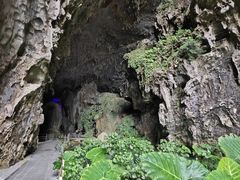 -百魔洞景区