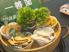 -一善菌·云南菌汤·云南菜(银泰城店)