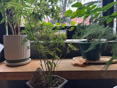 -竹里馆 ·茶食(奥体店)