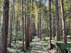 -同里国家湿地公园