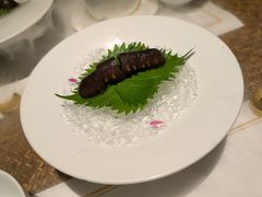 -觀芷隐轩