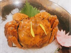 -人间采蜜(海信广场店)