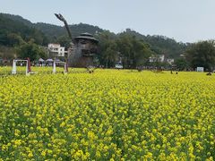 -红山村