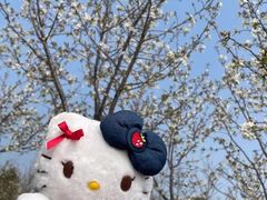 -杭州湾海上花田景区