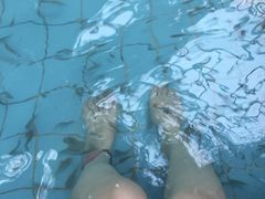 -郑州银基黄帝宫御温泉