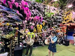-正佳雨林生态植物园