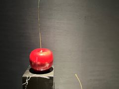 -四季小馆·潤·中国菜(越秀公园店)