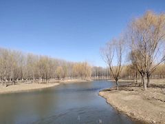 -东郊湿地公园