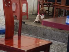 -一烙锅(友谊店)