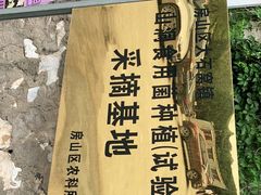 -仙蘑洞