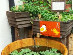 -大澳渔村及棚屋