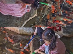 -泉城欧乐堡海洋极地世界