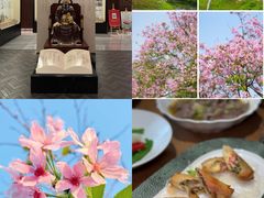 -金成潮菜博物馆(海珠湿地店)