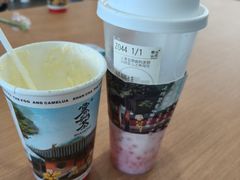 -雾与山茶(大禹城店)