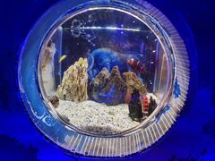 -海合安成都极地海洋公园