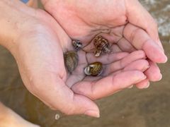 -青岛银沙滩