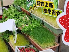 -赵美丽·重庆社区火锅·直营店(火车东站·中豪国际店)