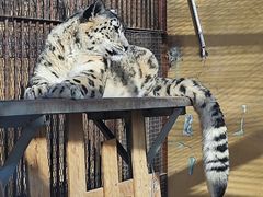 -青藏高原野生动物园