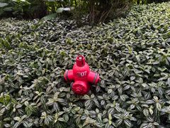 -云溪植物园