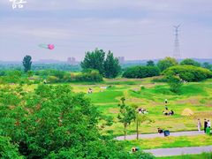 -渭河城市绿地运动公园