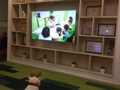 -七田真早期教育(荟聚中心)