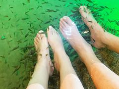 -宝丽金大酒店·洗浴中心