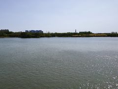 -大兴滨河森林公园