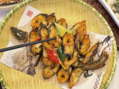 -陶缘一号·四季缘·老字号顺德菜·户外婚礼家宴(西滘店)