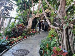 -国家植物园南园