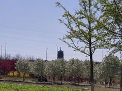 -永定河休闲森林公园