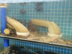 -前王院•巧克力海鲜市集餐厅(万平口店)