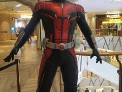 -武汉光谷K11