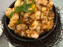 -丁老爷子苏香圆