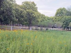 -白塘生态植物园