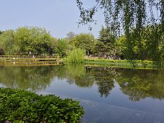 -泰州凤城河风景区-泰山公园