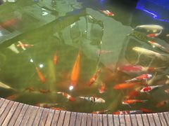 -弘医堂医院-中医科