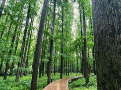 -上海怡沁园度假酒店