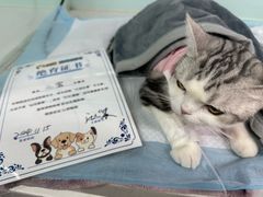 -达爱动物医院·犬猫分区·CT·复杂眼科(远洋山水分院)