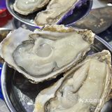 震惊😨感觉像在水族馆里吃饭‼️