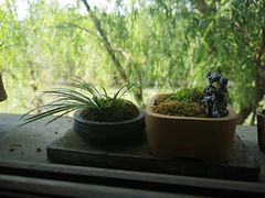 -星巴克(苏州泰华店)