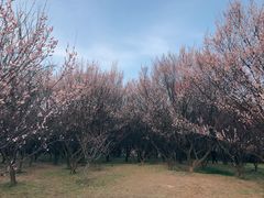 -蜀冈西峰生态公园