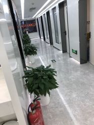 -悟空祛痘·诺奖技术专业店