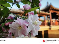 -元大都城垣遗址公园