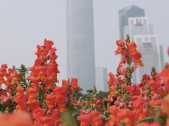 -海心沙亚运公园