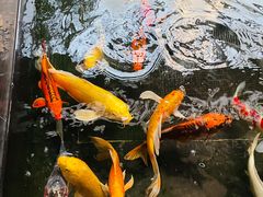 -天津海河悦榕庄·Lobby Lounge大堂吧