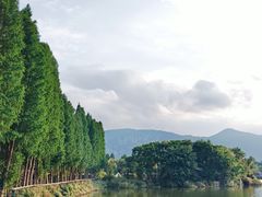 -云南民族村