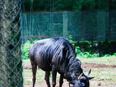 -杭州野生动物世界