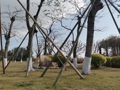 -芒洲湿地公园
