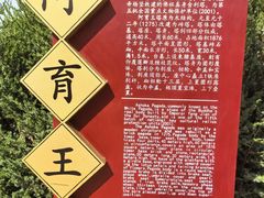 -代州文庙
