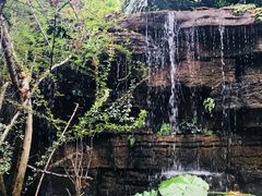-昆明柏联SPA温泉